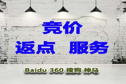 某某企业SEM推广成功案例：打造品牌营销新模式